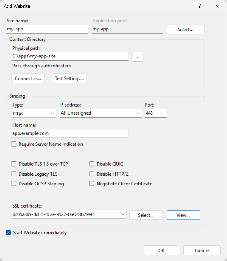 The IIS Manager Add Website dialog with the fields above filled in